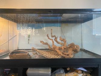 Large Glass Reptile Terrarium with Accessories