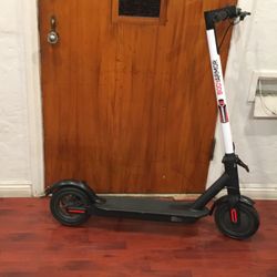 Under Armor Schooner 