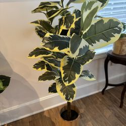 Faux Plant 