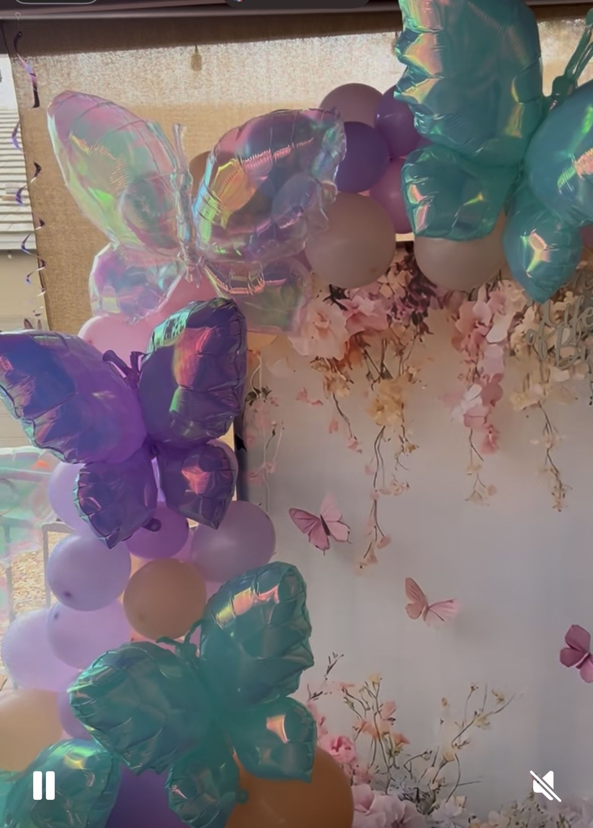 Large Butterfly Balloons
