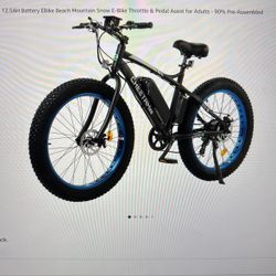 Ecotric cheetah Electric Bike 