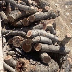 Pistachio Fire Wood Ready To Burn