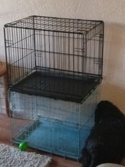 2 medium dog crates , paid $60 a piece asking $30 a piece