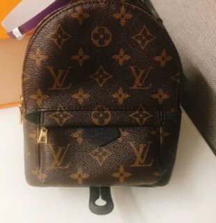 Louis Vuitton backpack