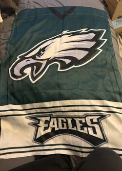 NFL Philadelphia Eagles House Flag and Banner