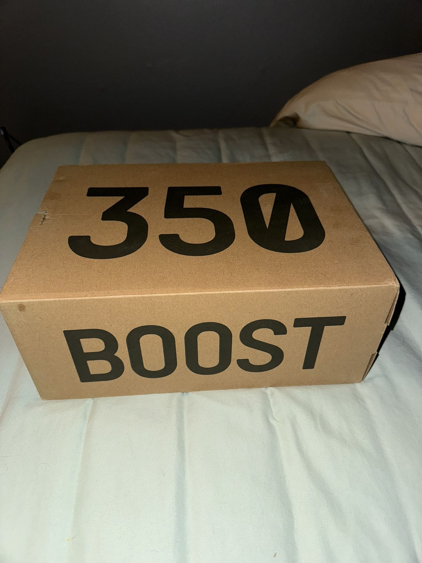 Yeezy 350 V2 Mx Dark Salt 9.5 Male (vnds)