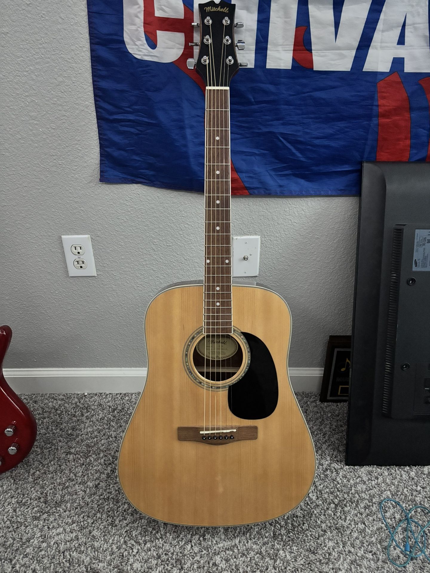 Mitchell Guitar