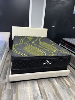 FREE DELIVER SAME DAY 