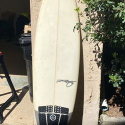 Rusty blackbird step up