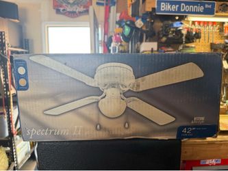 Ceiling fan