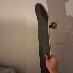 Santa Cruz Skateboard Classic Dot