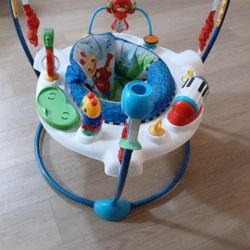Baby Jungle Gym