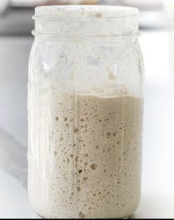 Bubbly Ready To Back With Sourdough Starter
