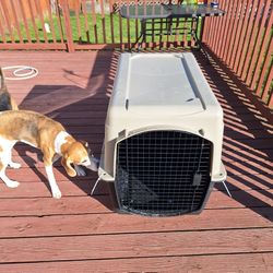 DOG CRATE LARGE CARRIER LIKE NEW