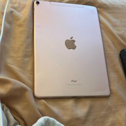 iPad w/camera