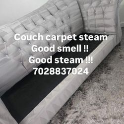 Couch Carpet Steam