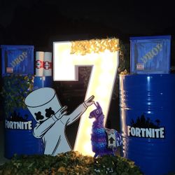 Fortnite Party
