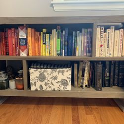 Bookcase / TV Console for Sale!