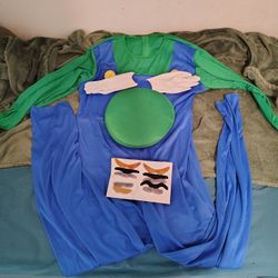 Adult Luigi Costume XL