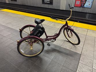 Tricycle cruiser bike