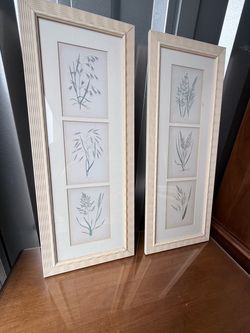 Set of 2 Sonoma Framed Botanical Grass Prints