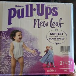Huggies 2T-3T pull ups