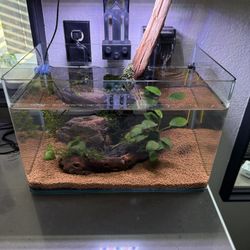 7 Gallon Aquarium 