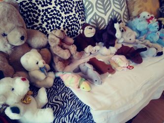 Beanie Babies and cute stuffed creatures large or small