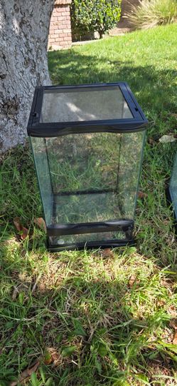 Glass terrarium