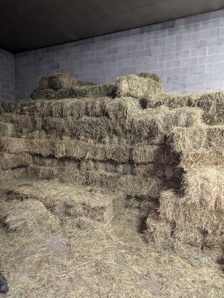 Small Square Bale Hay For Sale 