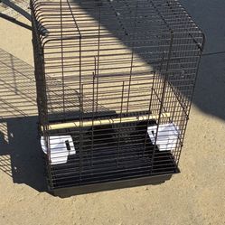 Bird Cage 