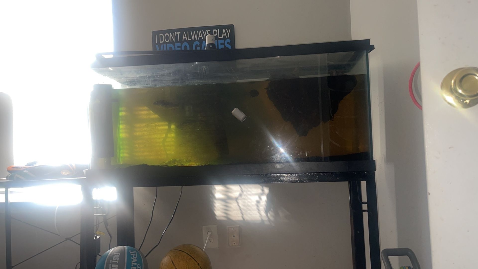 70 Gallon Tank With Stand