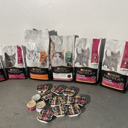 Cat Food