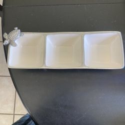 Turtle 🐢 Dish