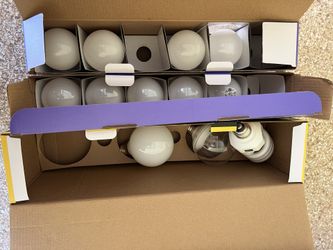 Assorted Light Bulbs