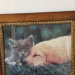 Cute Picture Antique Frame 