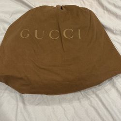 Gucci Bag/purse
