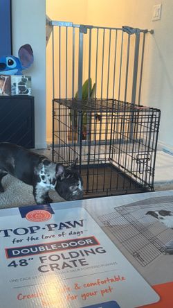 Medium size Dog Cage