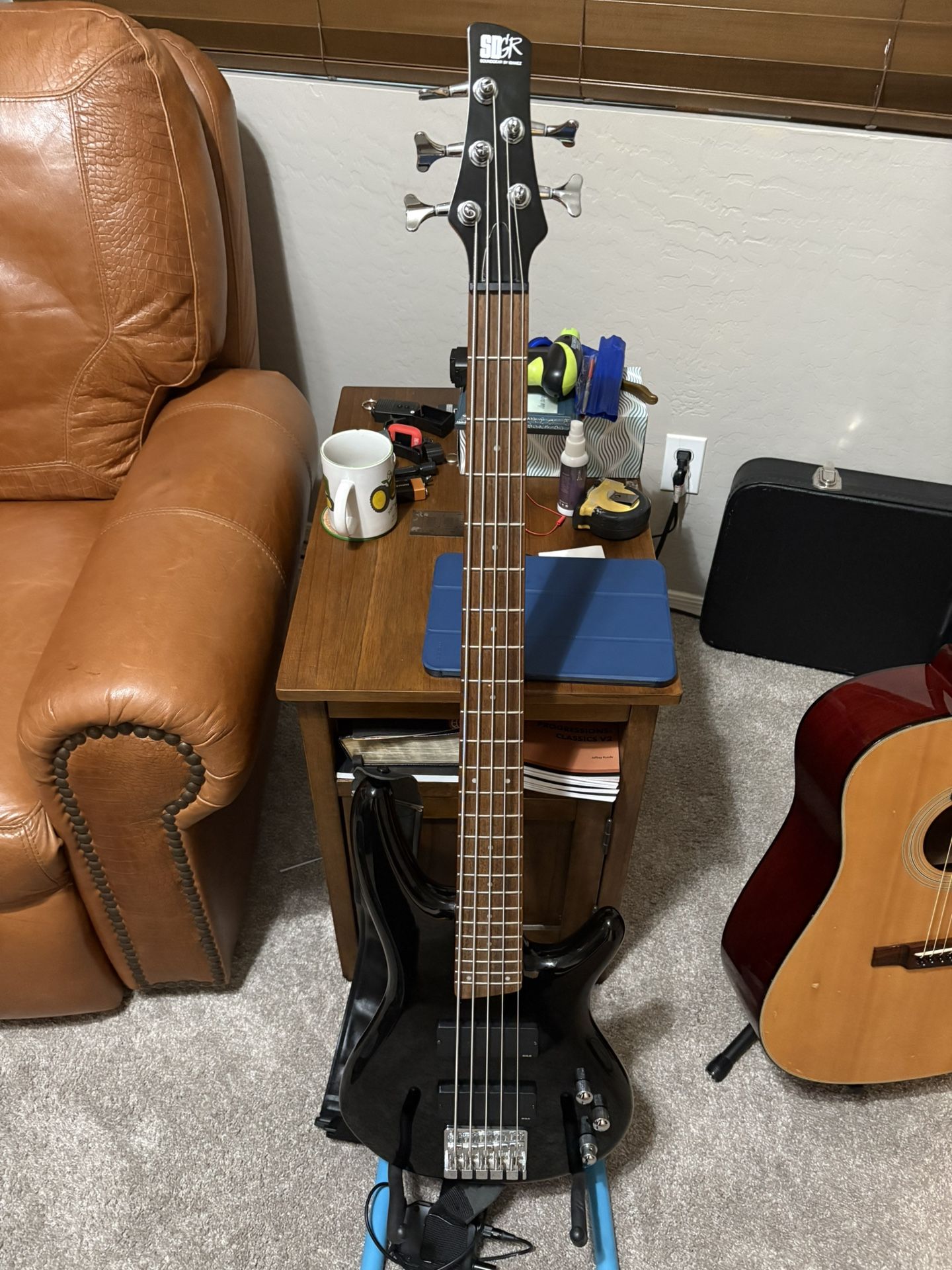 5 String Bass Guitar