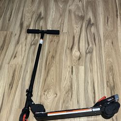 Electric Scooters