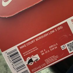 Nike Court Borough Low 2