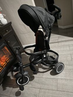 Bike Stroller