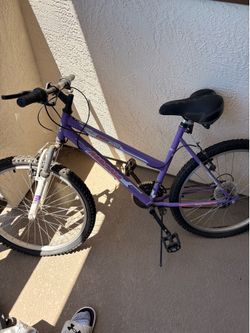 Magna Echo Ridge Purple Mountain Bike