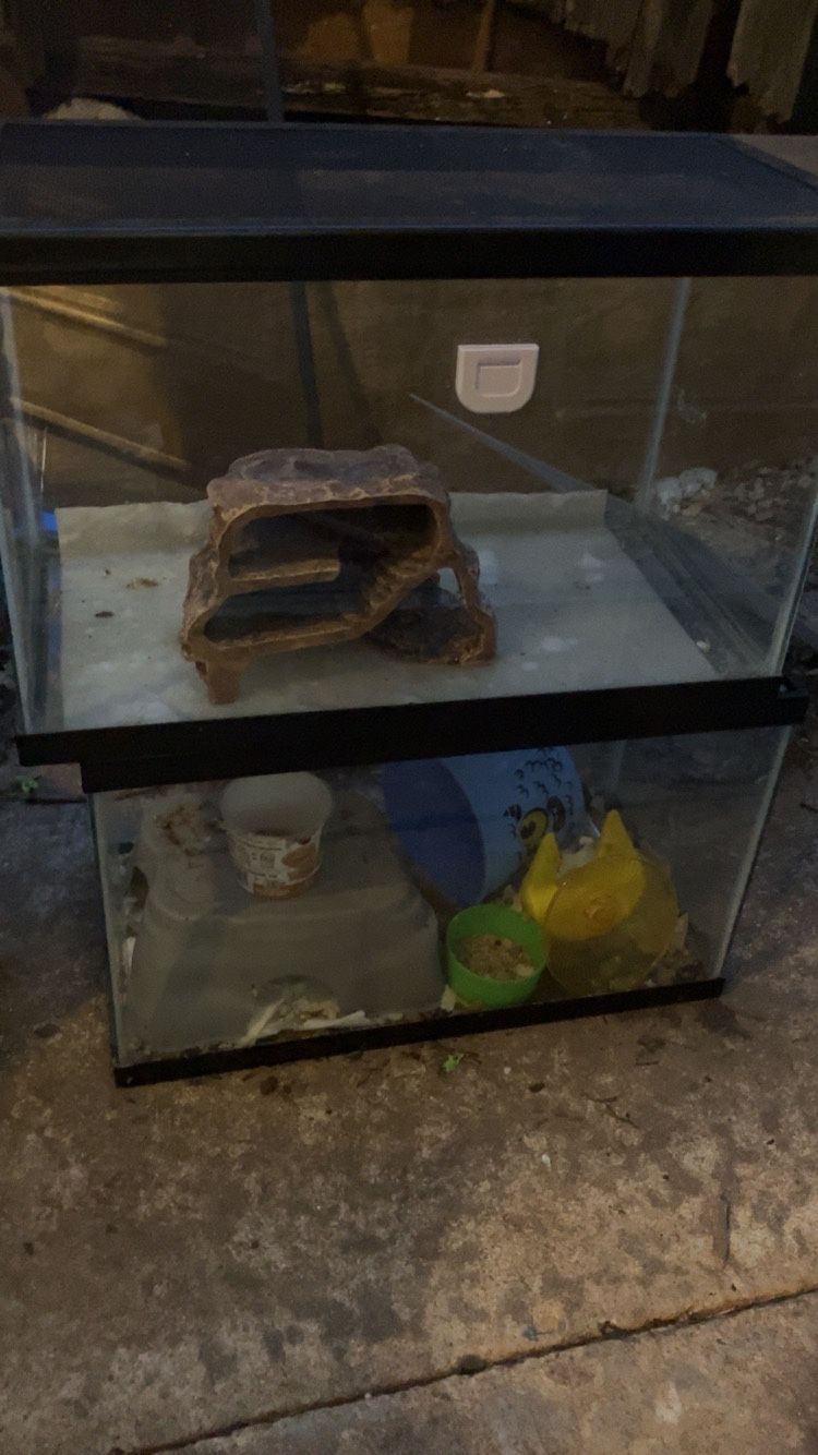 2 10 Gallon Fish Tanks 15$ A Piece