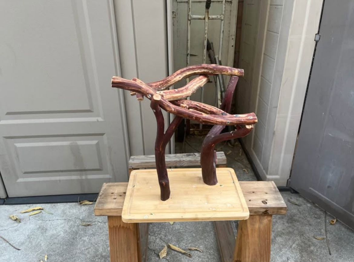 Bird Stand