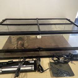 Thrive Open Glass Terrarium 