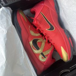 Kobe 5 Year Of The Mamba 