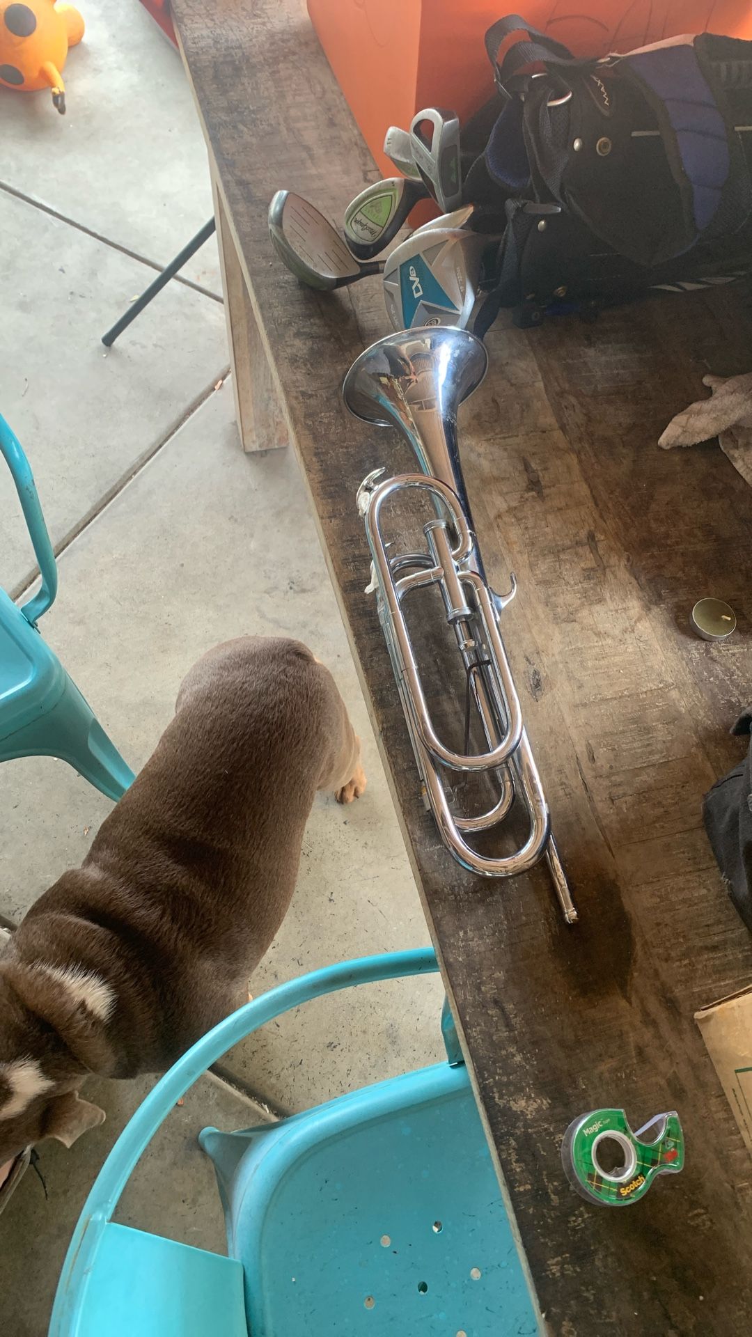 Rare Leedy&Ludwig Elkhart Single Value Bugle From The 50s