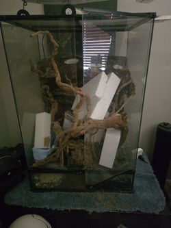 Terrarium or large plant animal enclosure