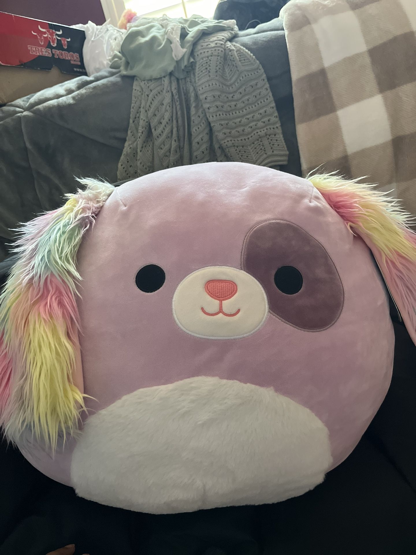 adorable Dog